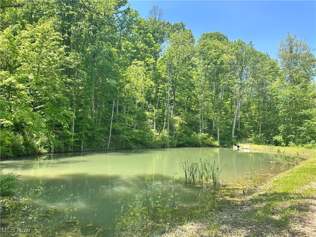 00001 Morton Hill Road Lower Salem OH 45745