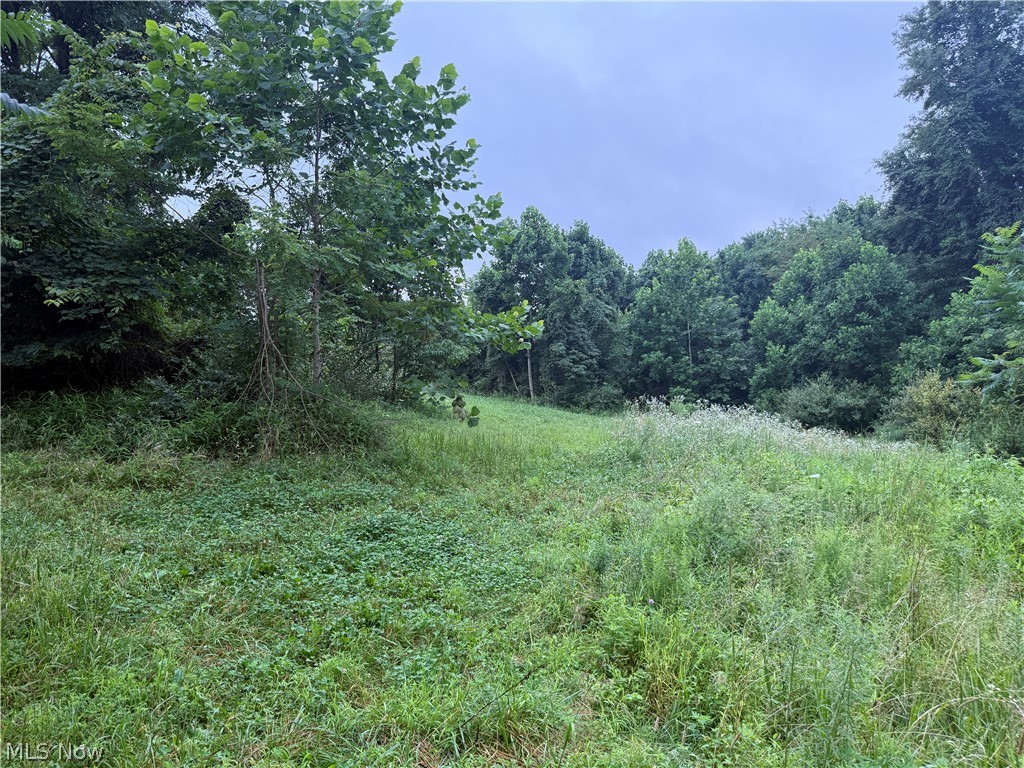 560 Wickens Road Macksburg OH 45767