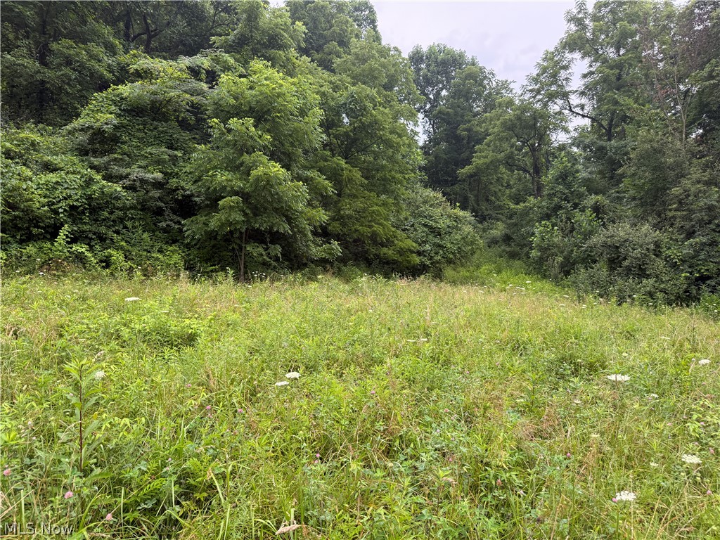 560 Wickens Road Macksburg OH 45767