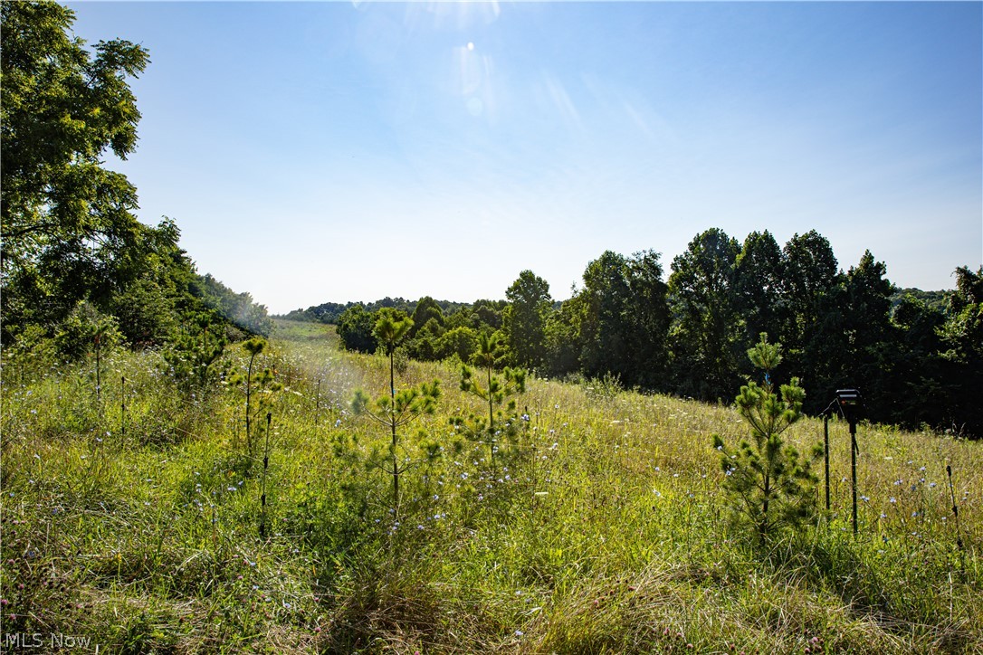 560 Wickens Road Macksburg OH 45767