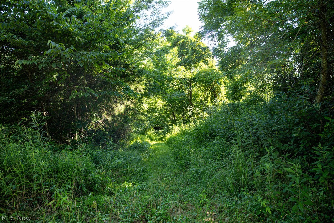 560 Wickens Road Macksburg OH 45767