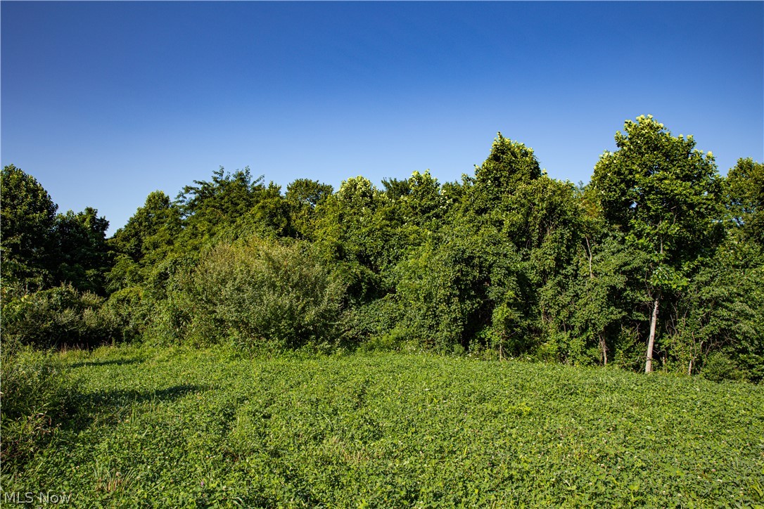 560 Wickens Road Macksburg OH 45767