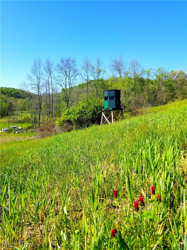Patton Road Jewett OH 43986