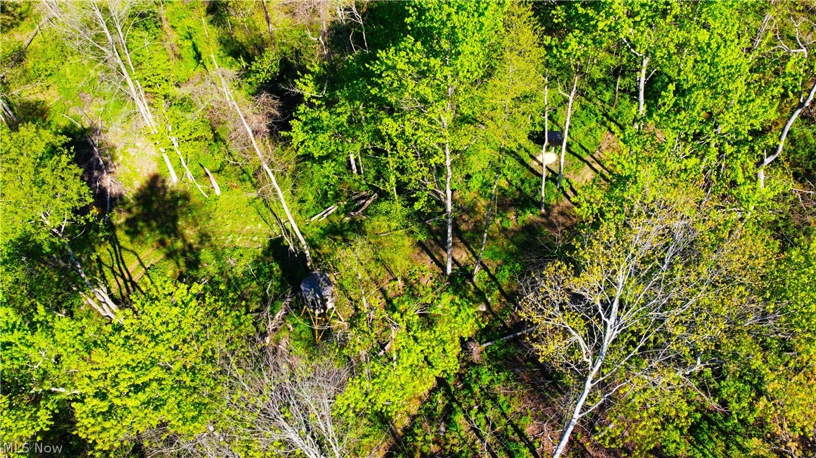 Patton Road Jewett OH 43986