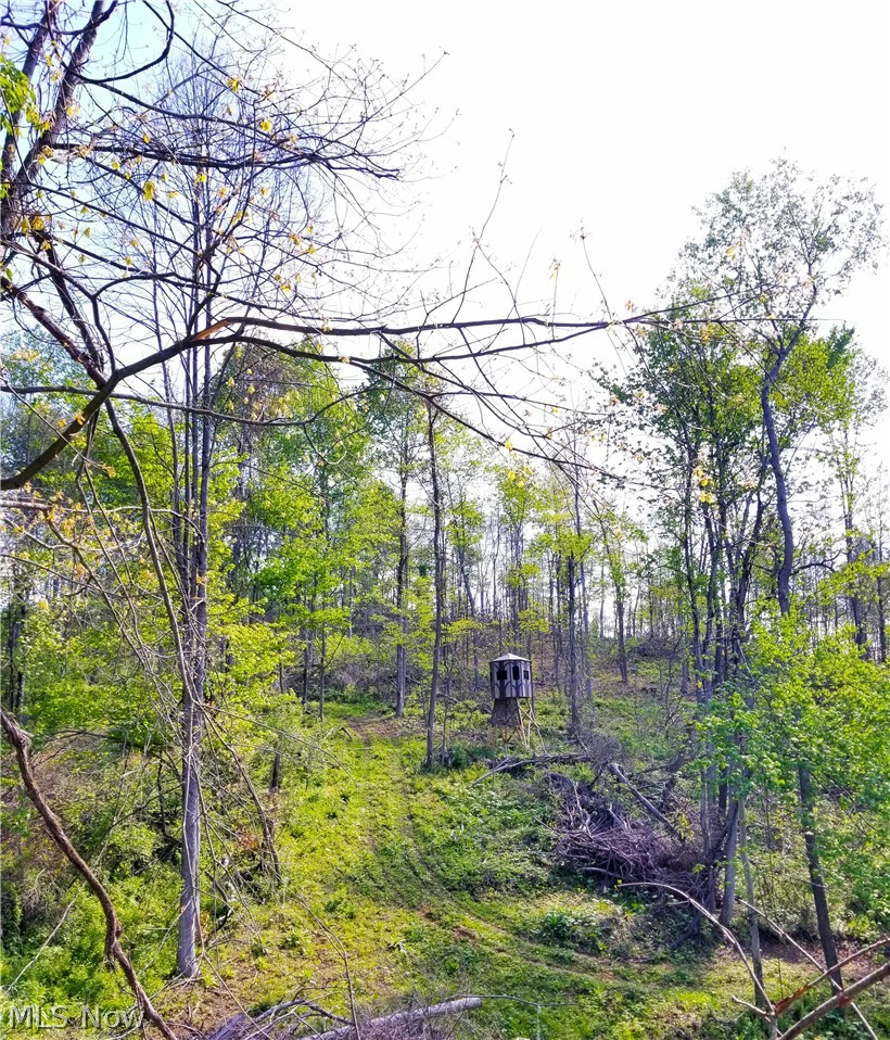 Patton Road Jewett OH 43986