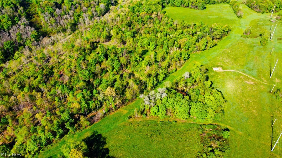 Patton Road Jewett OH 43986