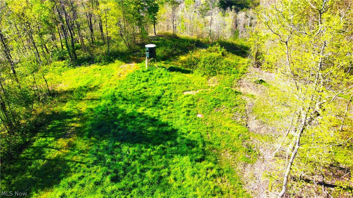 Patton Road Jewett OH 43986