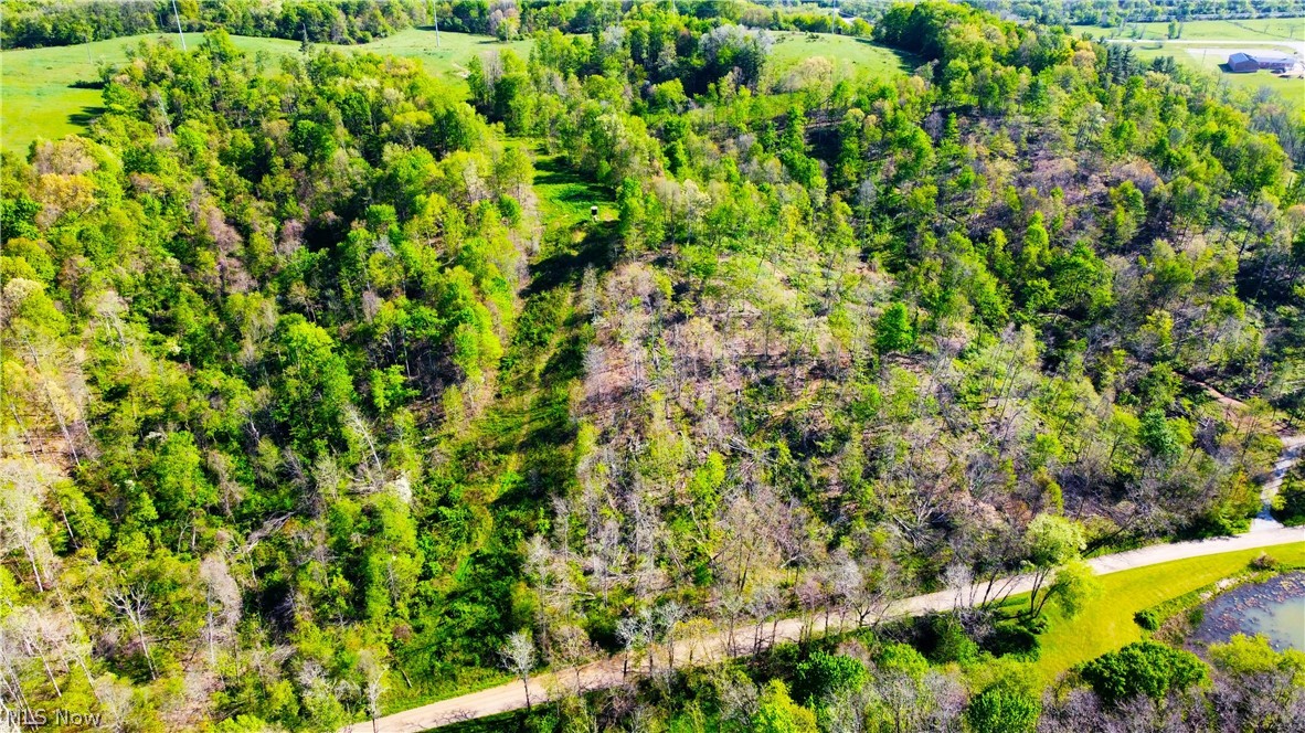 Patton Road Jewett OH 43986