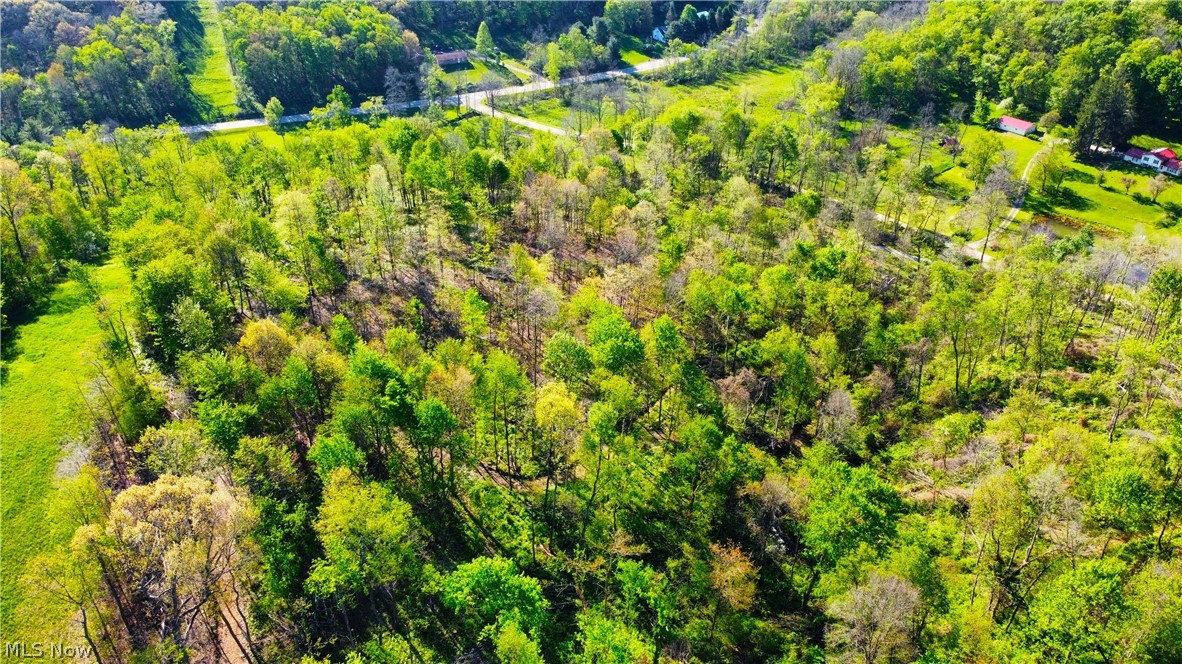 Patton Road Jewett OH 43986