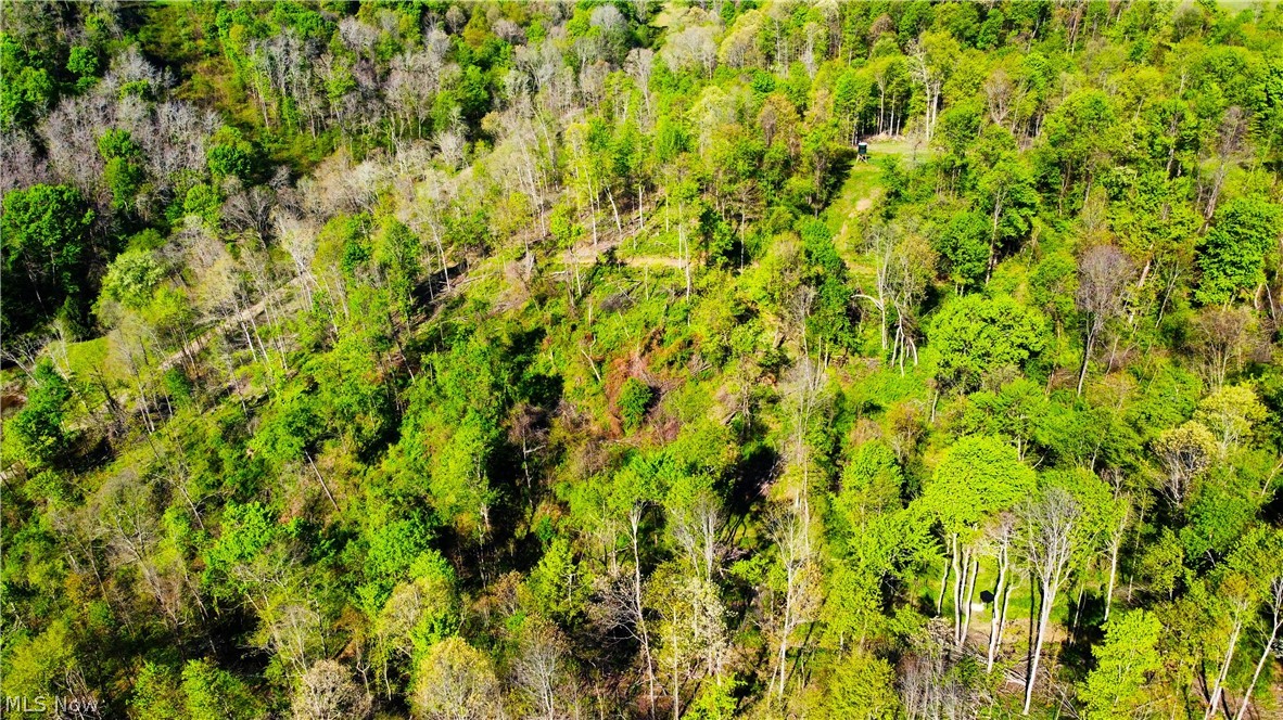 Patton Road Jewett OH 43986