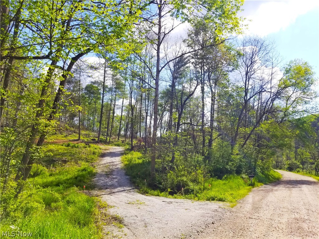 Patton Road Jewett OH 43986