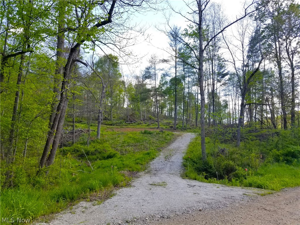Patton Road Jewett OH 43986