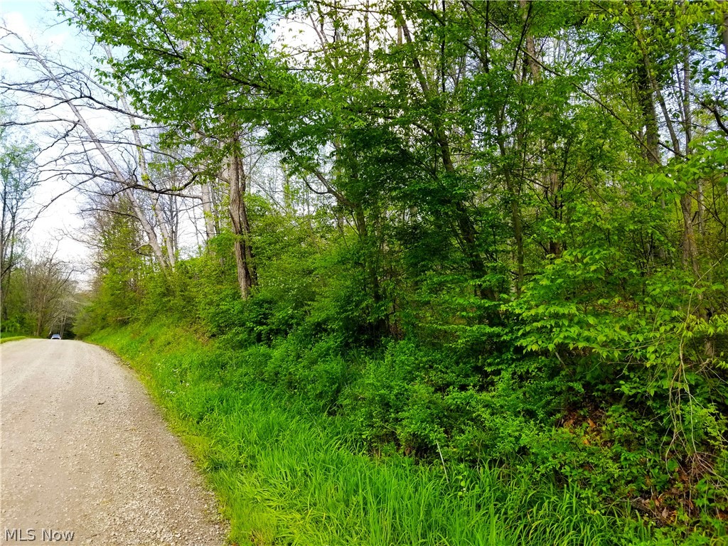 Patton Road Jewett OH 43986