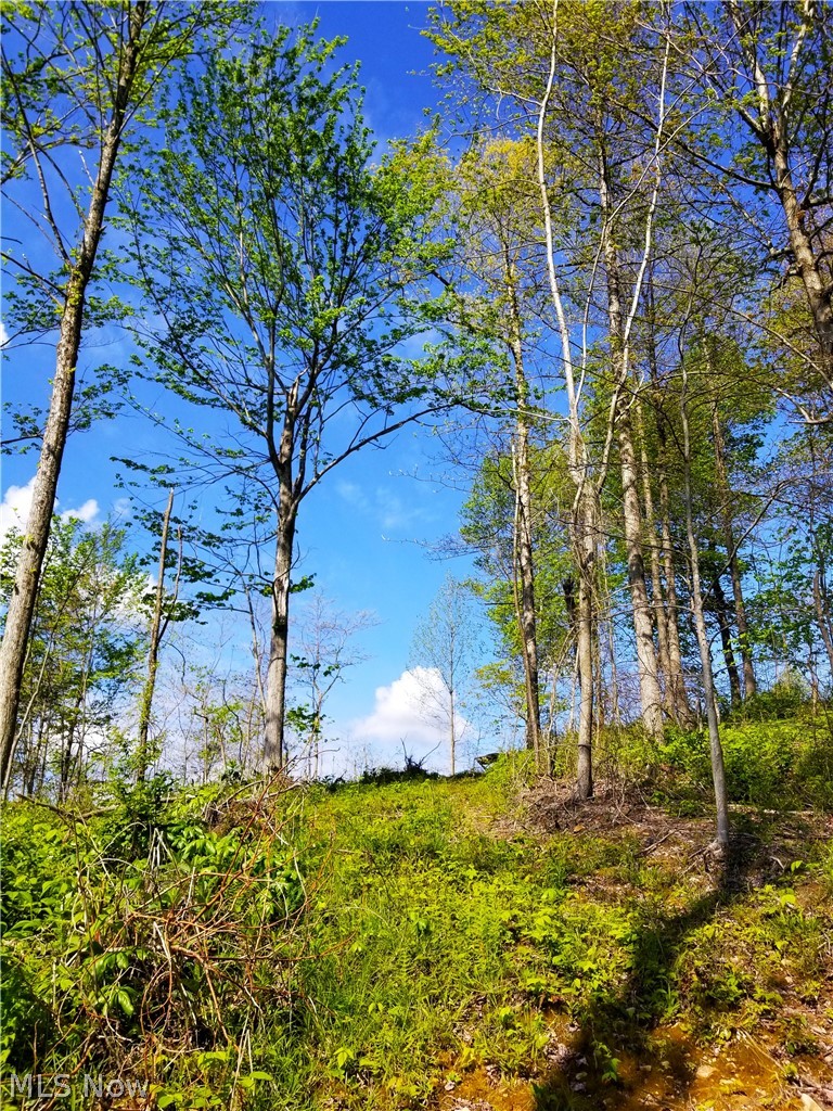 Patton Road Jewett OH 43986