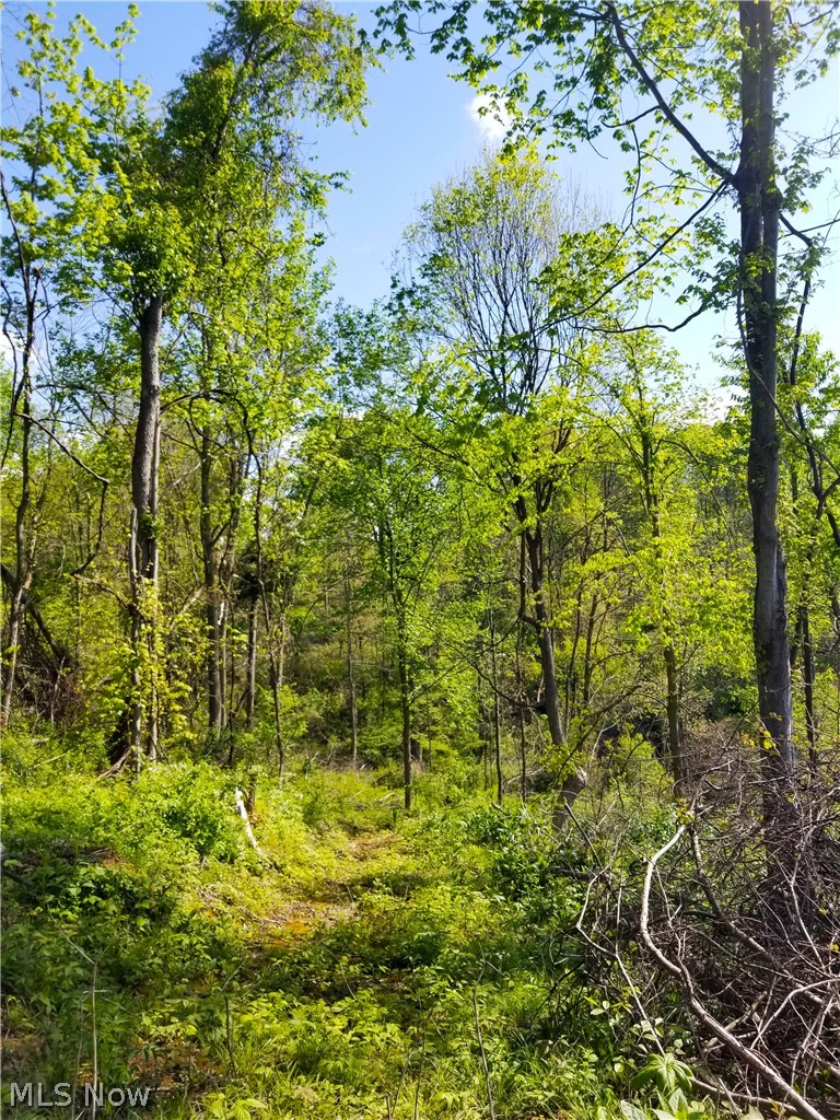 Patton Road Jewett OH 43986
