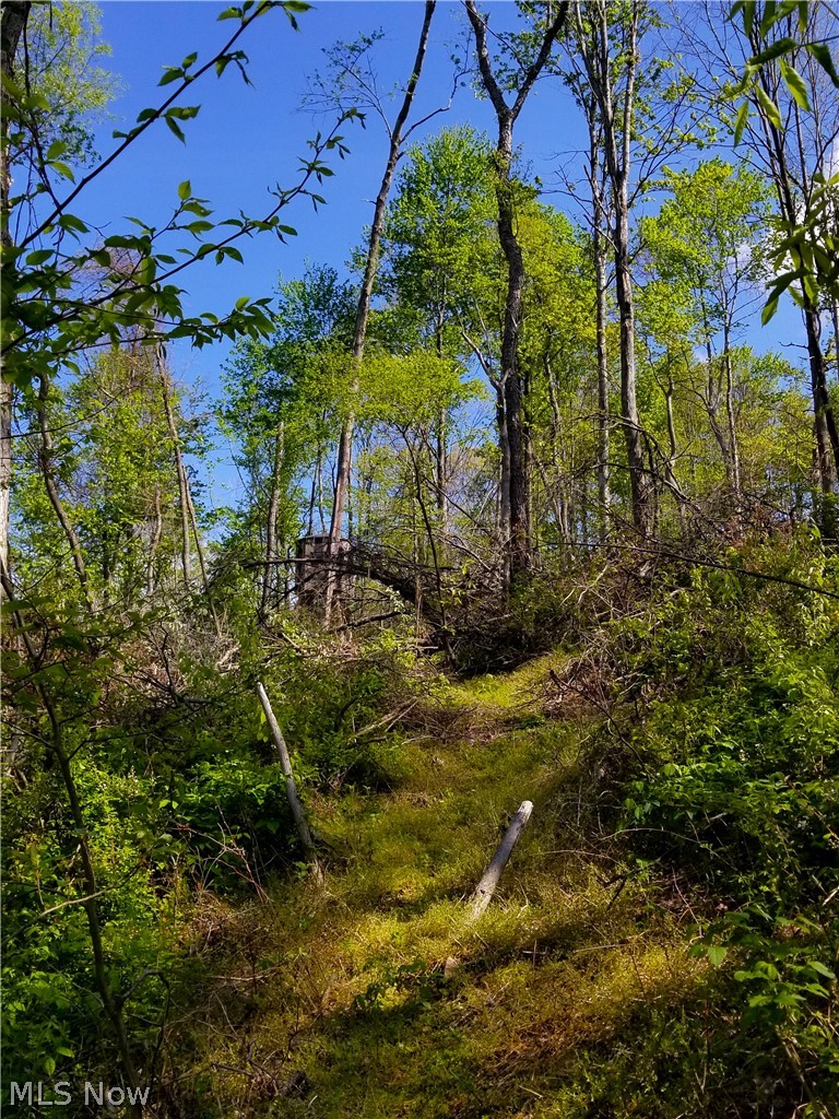 Patton Road Jewett OH 43986
