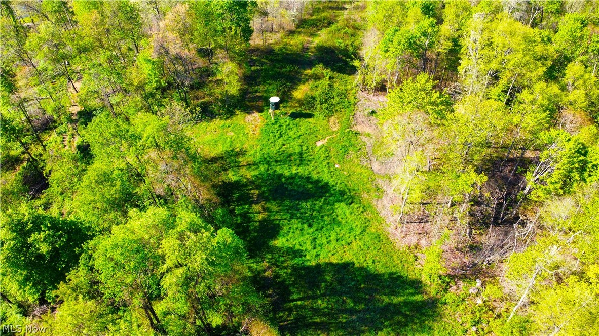 Patton Road Jewett OH 43986
