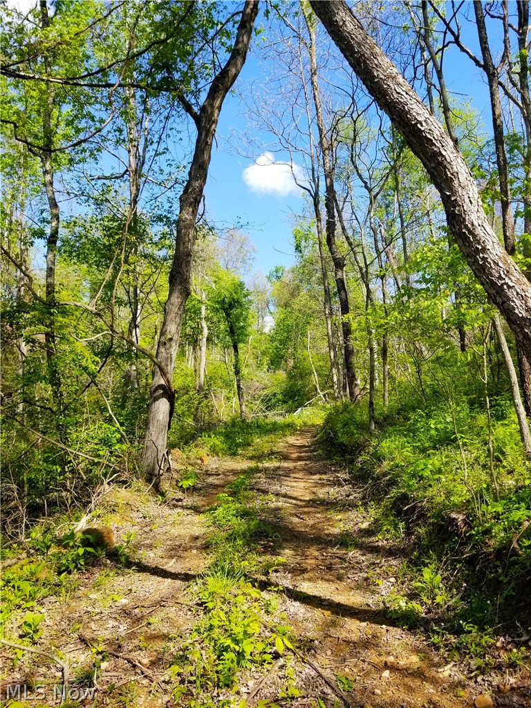 Patton Road Jewett OH 43986