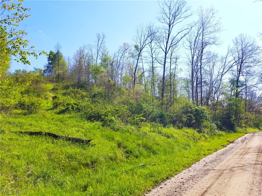 Patton Road Jewett OH 43986