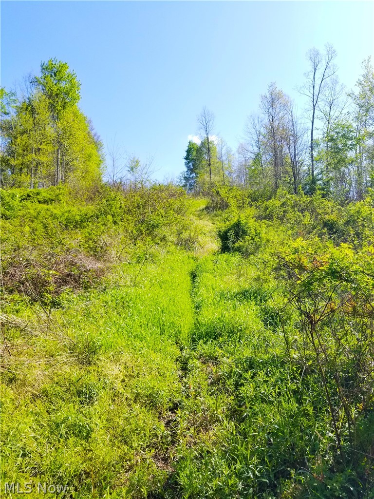 Patton Road Jewett OH 43986