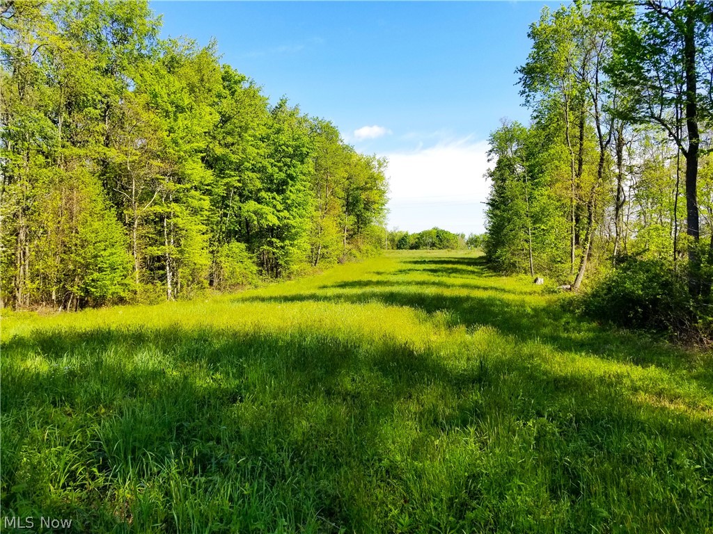 Patton Road Jewett OH 43986