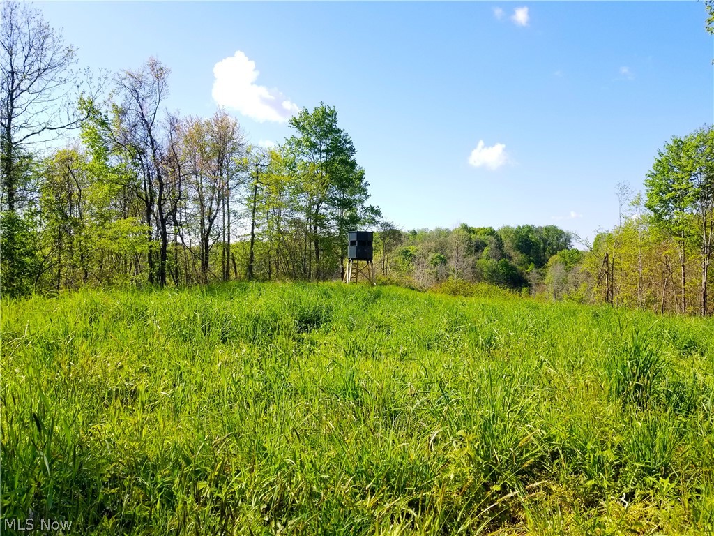 Patton Road Jewett OH 43986
