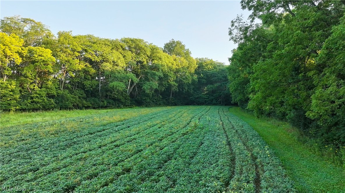 19530 W State Route 105 Elmore OH 43416