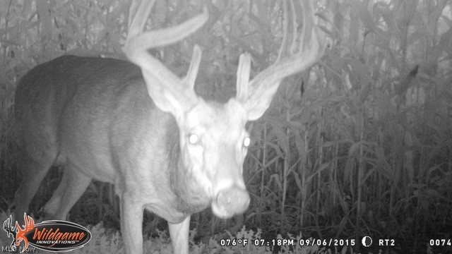 19530 W State Route 105 Elmore OH 43416