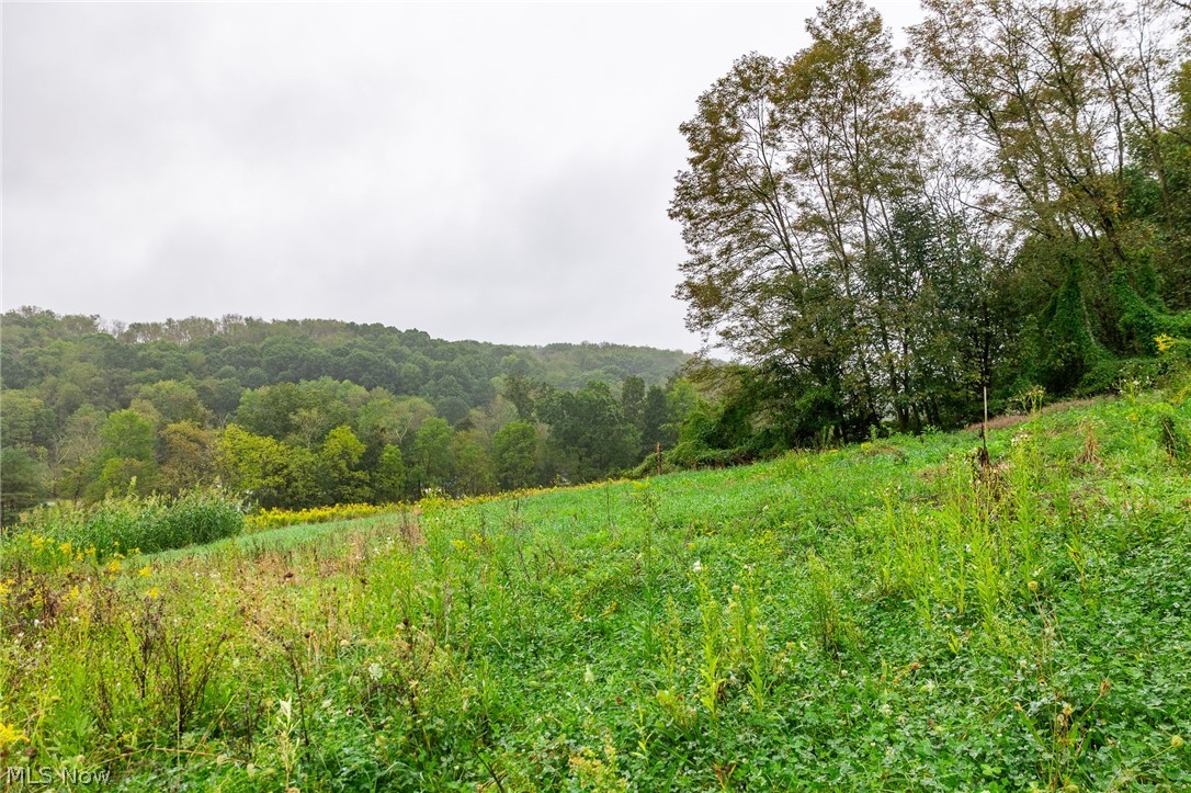 87788 New Rumley Road Jewett OH 43986
