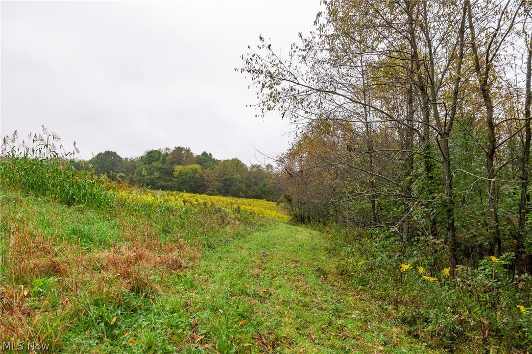 87788 New Rumley Road Jewett OH 43986