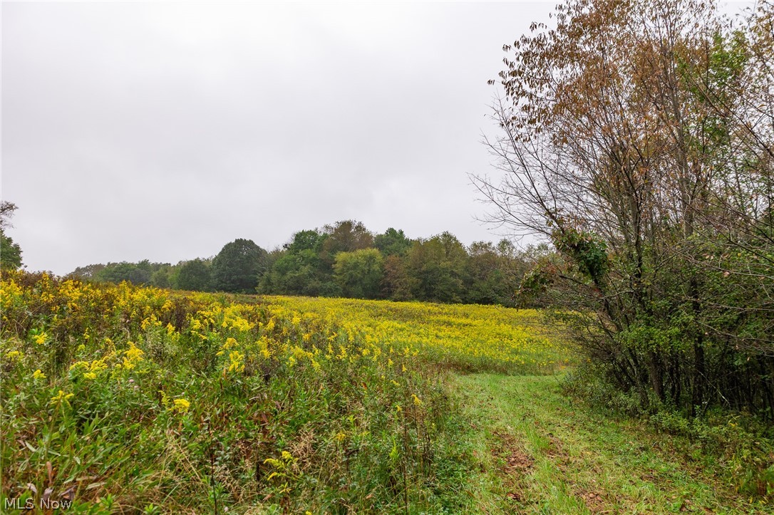 87788 New Rumley Road Jewett OH 43986