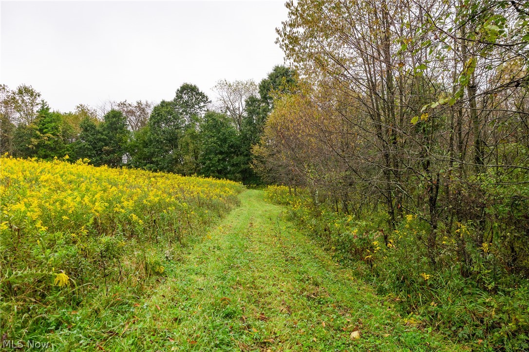 87788 New Rumley Road Jewett OH 43986
