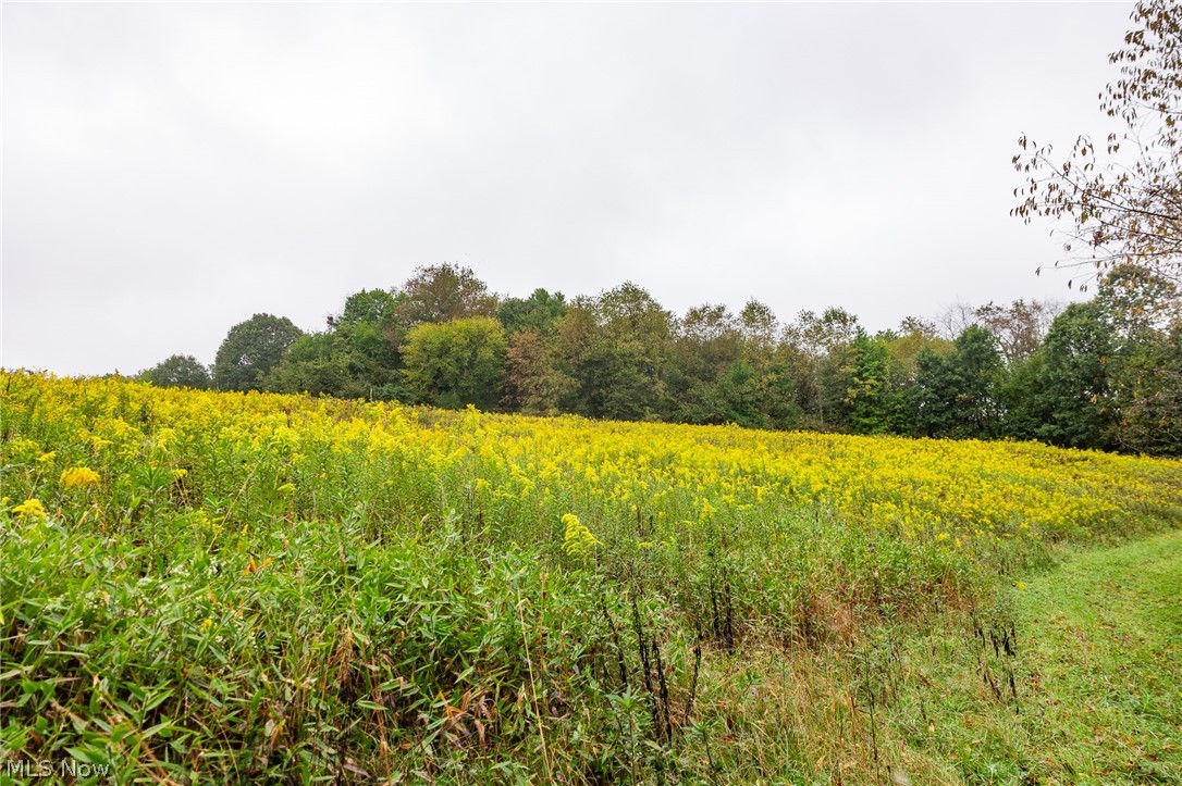 87788 New Rumley Road Jewett OH 43986
