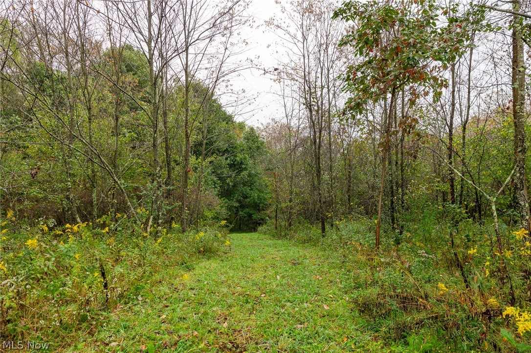 87788 New Rumley Road Jewett OH 43986