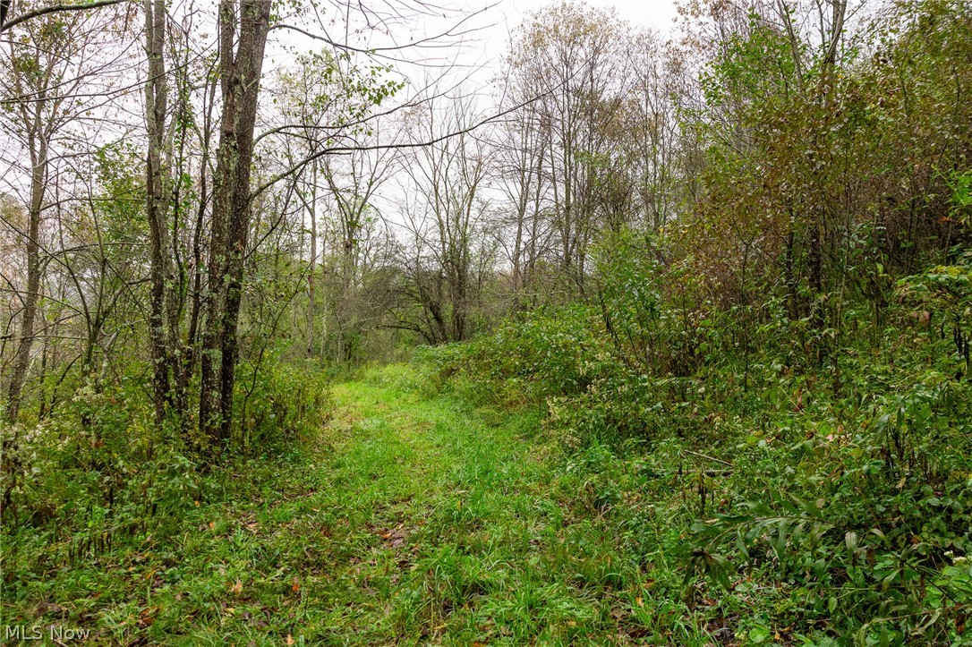 87788 New Rumley Road Jewett OH 43986