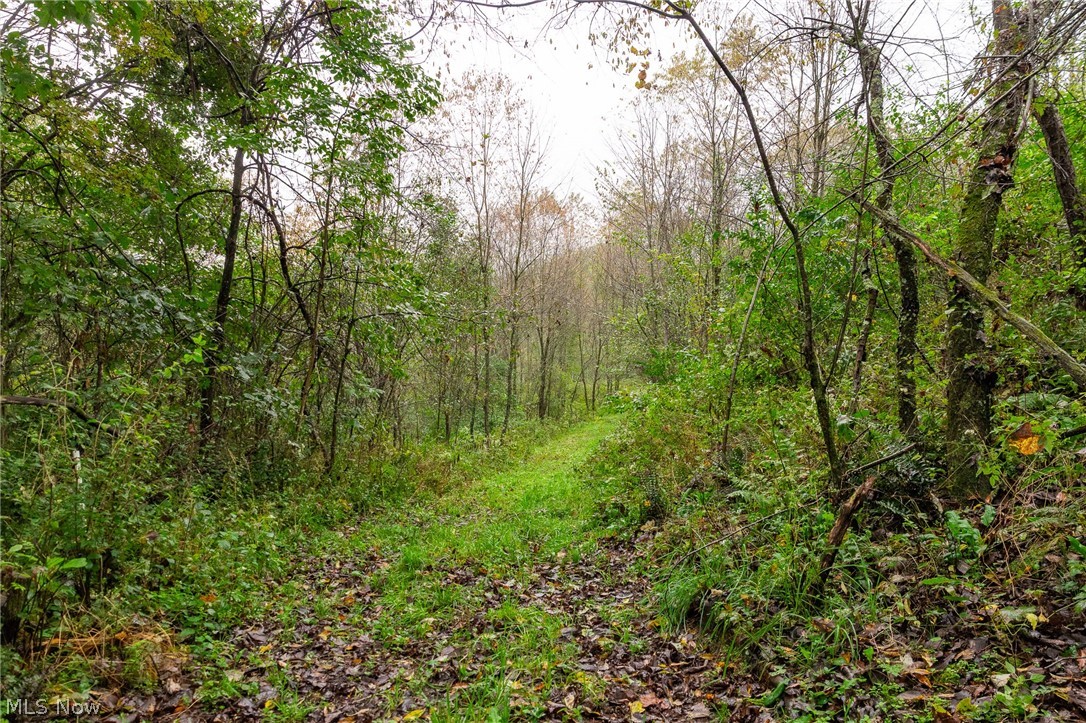 87788 New Rumley Road Jewett OH 43986
