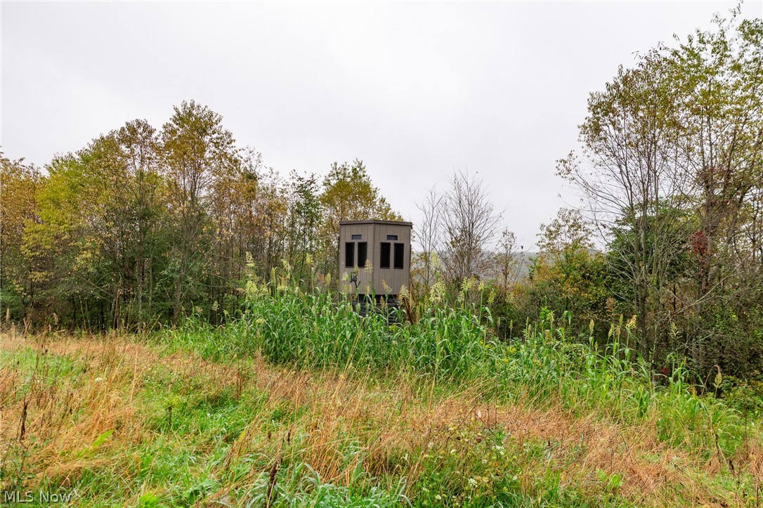 87788 New Rumley Road Jewett OH 43986