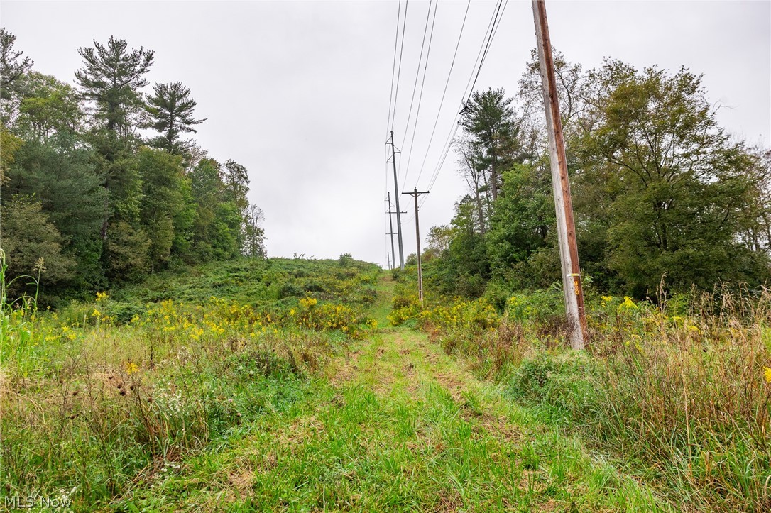87788 New Rumley Road Jewett OH 43986