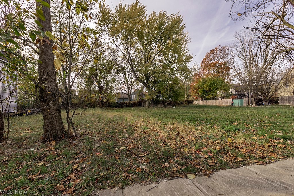 1246 E 102nd Street Cleveland OH 44108