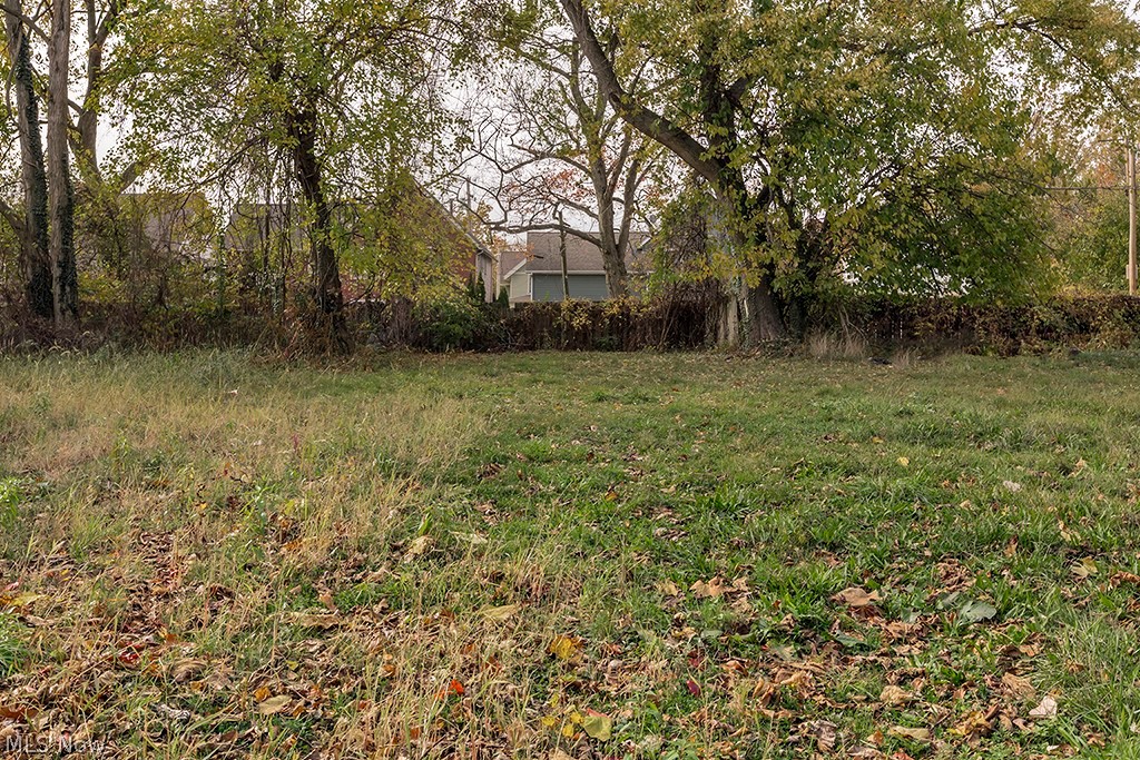 1246 E 102nd Street Cleveland OH 44108