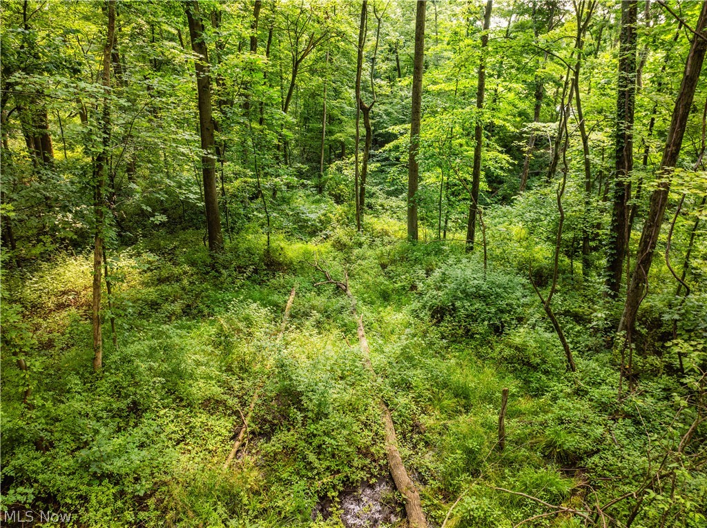 Township Road 85 Baltic OH 43804