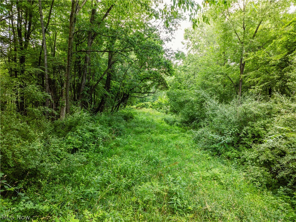 Township Road 85 Baltic OH 43804