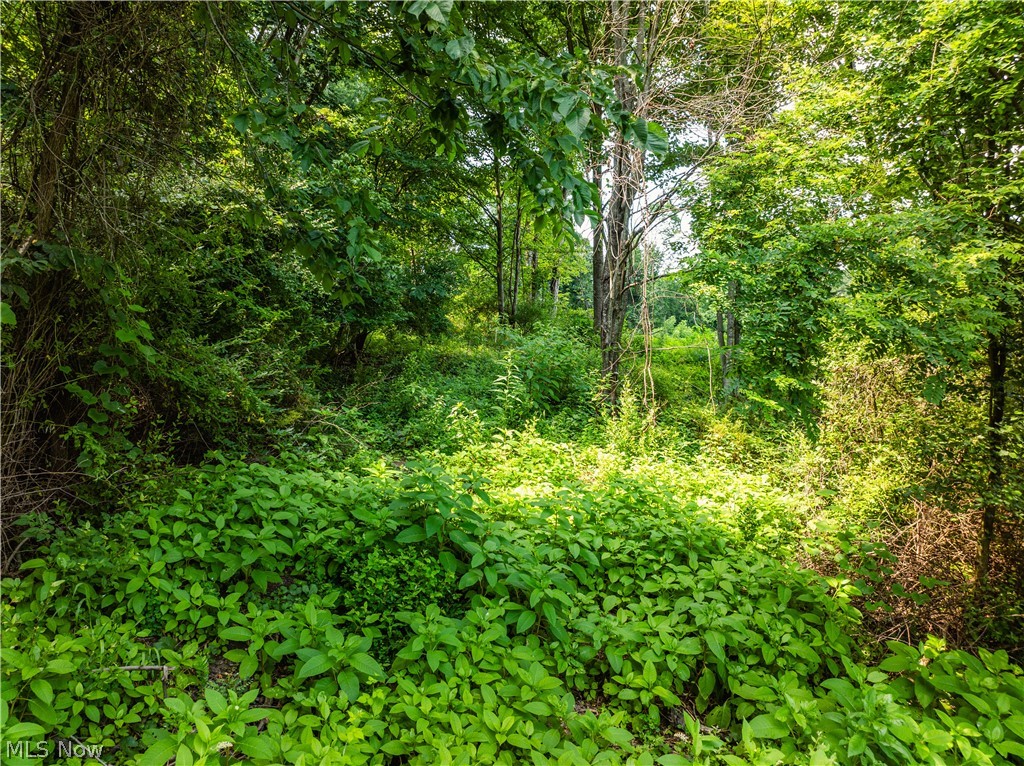 Township Road 85 Baltic OH 43804