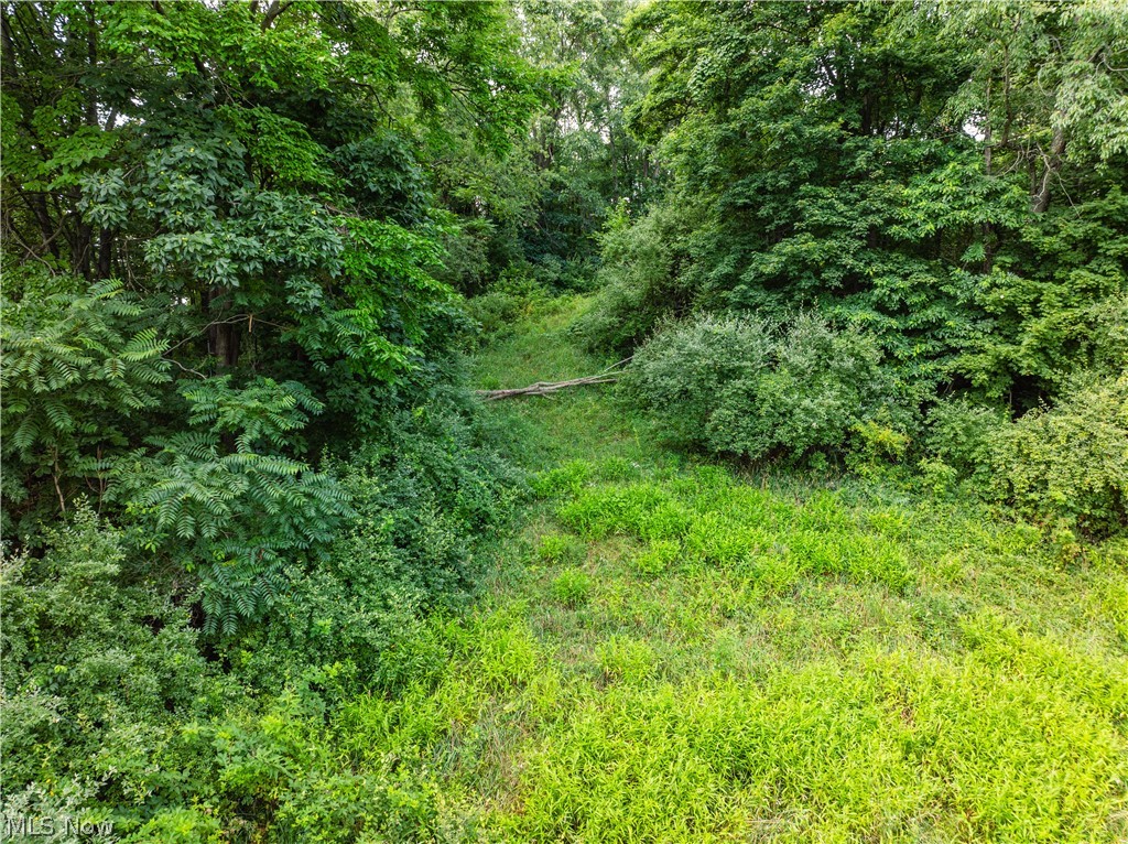 Township Road 85 Baltic OH 43804