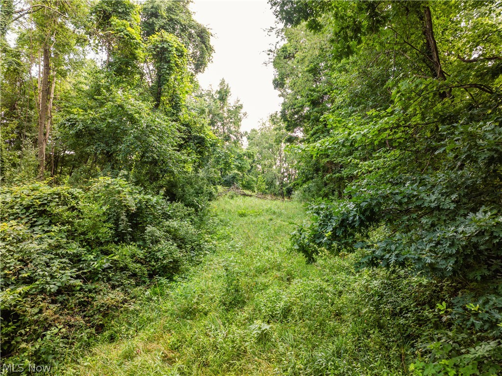 Township Road 85 Baltic OH 43804