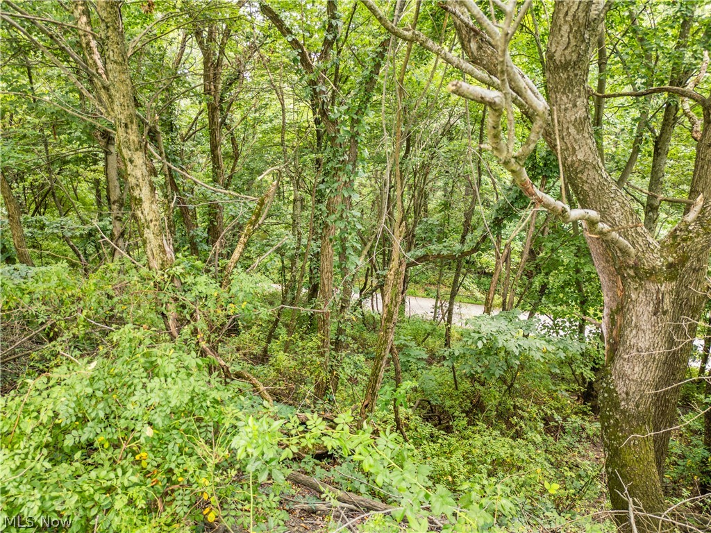 Township Road 85 Baltic OH 43804