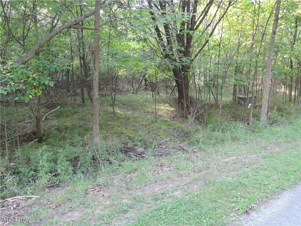 Saint Andrews Youngstown OH 44505