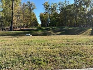 4138 Timber Trail Medina OH 44256