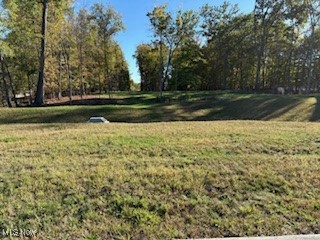 4138 Timber Trail Medina OH 44256