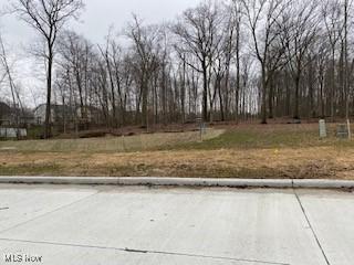 4138 Timber Trail Medina OH 44256